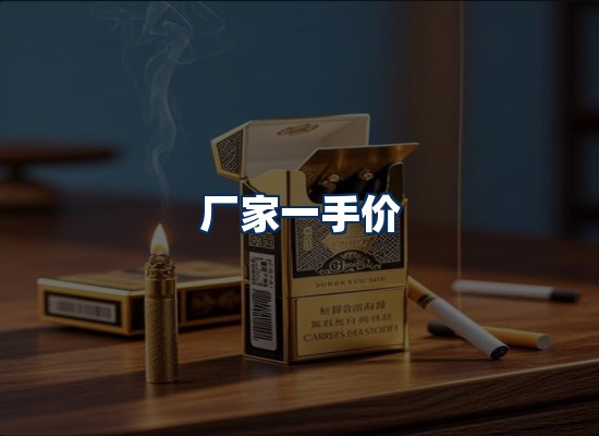 专业团队办公环境